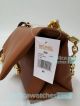 2019 Newest Replica Michael Kors Cece Brown Genuine Leather Chain Shoulder Bag (10)_th.jpg
